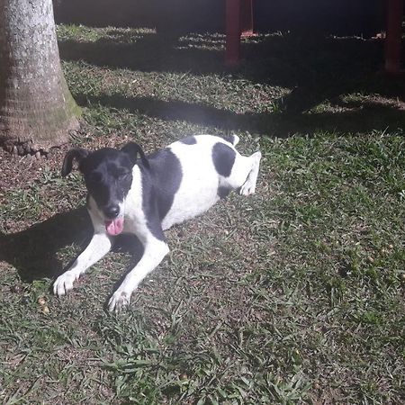 Sitio E Pousada Recanto Dos Ipes Teresópolis Exterior foto